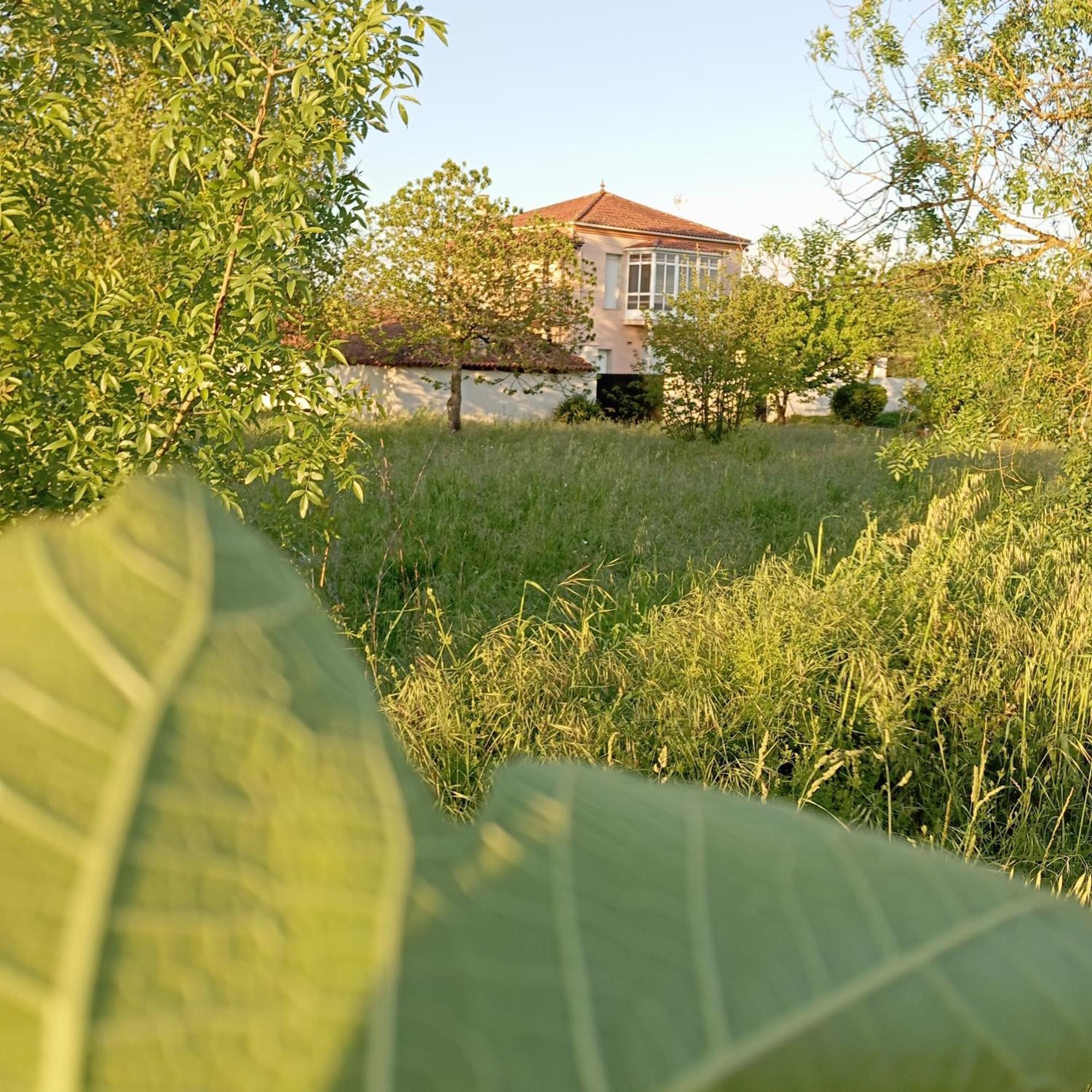 Villa O Toxal Monforte De Lemos Exterior foto